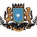 Wellington Somali Council Inc.