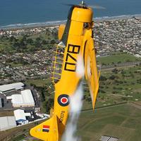 NZ Warbirds Association (Inc)
