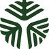 Trees That Count Te Rahi o Tāne Trust