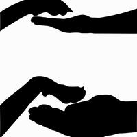 Waikato Animal Outreach Trust