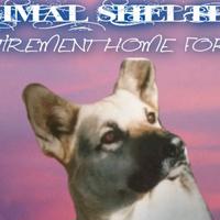 Animal Shelter Charitable Trust