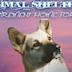 Animal Shelter Charitable Trust's avatar
