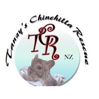 Tanzy's Chinchilla's