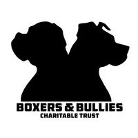 The Boxer and Bullies Charitable Trust