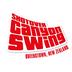 Shotover Canyon Swing