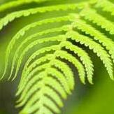 Moana House (Downie Stewart Foundation)