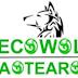 Ecowolf Aotearoa Ecology & Environment's avatar