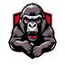 Gorillas AIMS Games Team