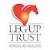 Leg-Up Trust, Horses as Healers's avatar