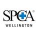 Wellington SPCA's avatar