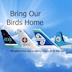Bring Our Birds Home's avatar