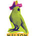 Nelson Fringe Arts Charitable Trust