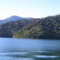 Marlborough Sounds Restoration Trust