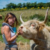 Animal Farm Rare Breeds Farm Park
