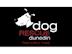 Dog Rescue Dunedin Charitable Trust's avatar