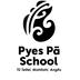 Pyes Pā School