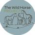 The Wild Horse Project