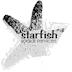 Starfish Social Services