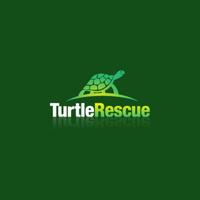 Turtle Rescue