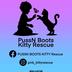 PussN Boots Kitty Rescue