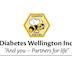 Diabetes Wellington Inc's avatar