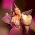 Tooth Fairy Marcy