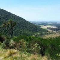 Friends of Studhome Bush Scenic Reserve Society Incorporated