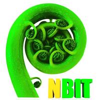 No Bullying Initiative Trust