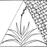 RECAP- The Society for the Resilience and Engagement of the Communities of Ashhurst and Pohangina Inc.