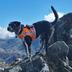New Zealand Land Search & Rescue Dogs