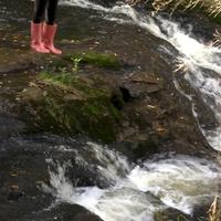 Blackbridge Environmental Protection Society (BEPS) Inc.