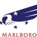 Clubs of Marlborough