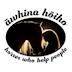Awhina hoiho's avatar