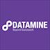 Datamine Limited 