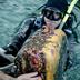 Tasman Bay Guardians's avatar