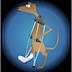 Animal Physio NZ's avatar