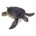test  's profile image