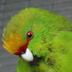 Tui Nature Reserve Wildlife Trust's avatar