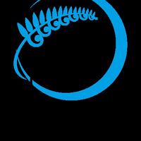 Deaf Sports New Zealand