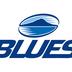 Blues Limited Partnership's avatar