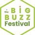 The Big Buzz Festival Trust