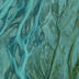 Fish Screen Survey