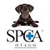 SPCA