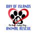 Bay of Islands Animal Rescue Trust's avatar