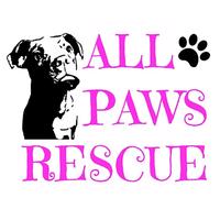 All Paws Rescue