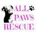 All Paws Rescue's avatar