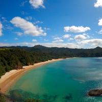 Preserve New Chum for Everyone Inc