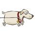 Waikato Canine Obedience Club's avatar