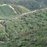 Wellington Natural Heritage Trust