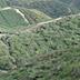 Wellington Natural Heritage Trust Inc